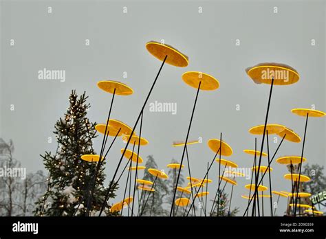 Christmas tree night decoration in Finland Stock Photo - Alamy