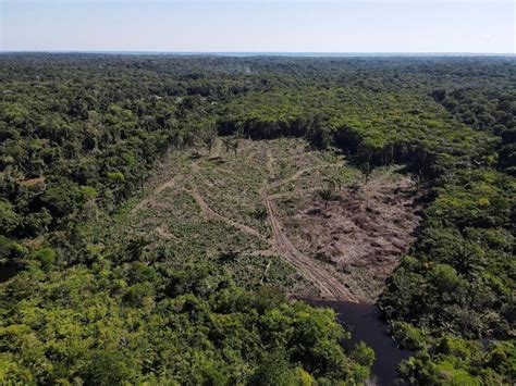 La D Forestation En Amazonie Br Silienne Recule De En Septembre