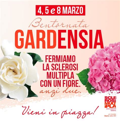 Aism Bentornata Gardensia Per La Festa Della Donna Tornano Le