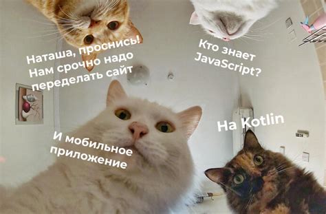 Поиск разработчиков без головной боли: пять причин, чтобы внедрить ...