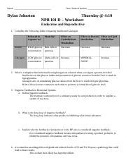 NPB 101D Worksheet 10 Endocrine And Reproductive Worksheet W18