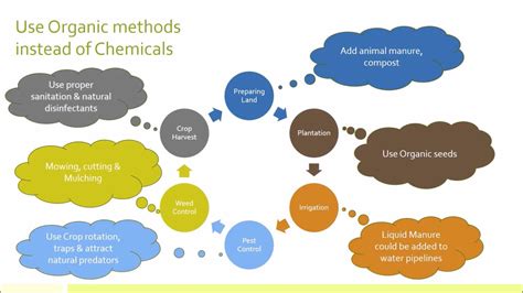 Organic Vs Chemical Farming Youtube