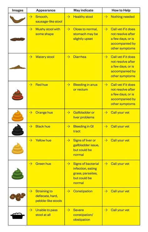 How to Understand Your Cat’s Stool [Cat Poop Chart] | Dutch