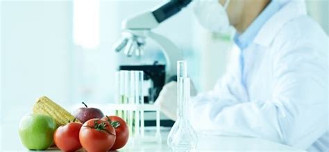 Top Universities In Uk For Food Science And Nutrition Besto Blog