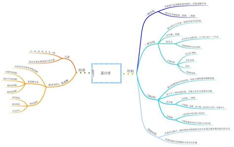 通过思维导图了解蛋白质的组成和结构 搜狐大视野 搜狐新闻