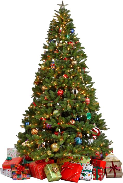 Christmas Tree PNG with Gifts