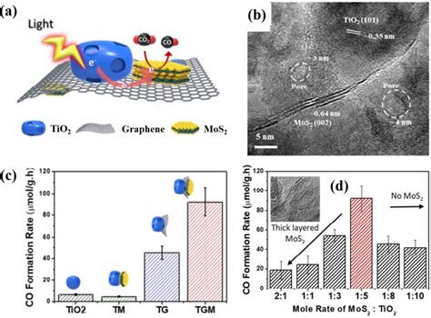 A Schematic Of The Formation Of Znal Ldh Nanosheets B Tem Images Download Scientific