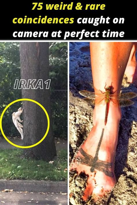 75 Bizarre And Rare Coincidences People Managed To Capture On Camera At