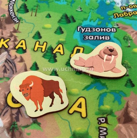 Учим материки: Северная Америка - игровая обучающая фетр-карта – купить ...