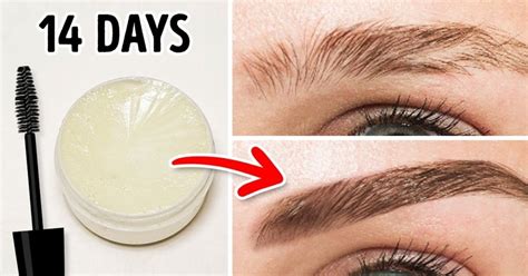 10 Quick And Easy Ways To Grow Beautiful Eyebrows How To Grow Eyebrows Make Eyebrows Grow