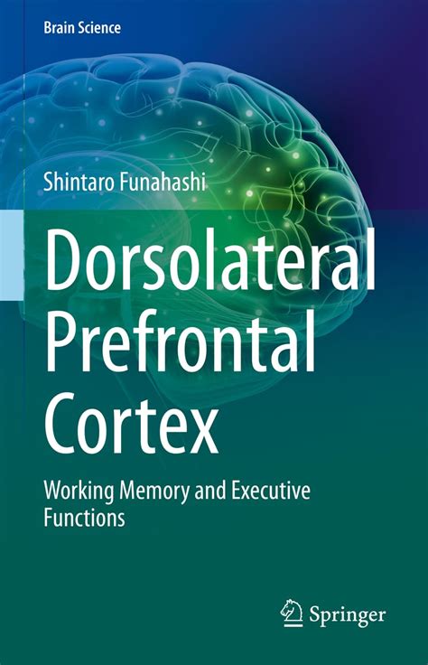 Buy Dorsolateral Prefrontal Cortex Working Memory And Executive