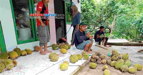 Durian Jadi Komoditas Buah Unggulan Pagerbumi Pangandaran