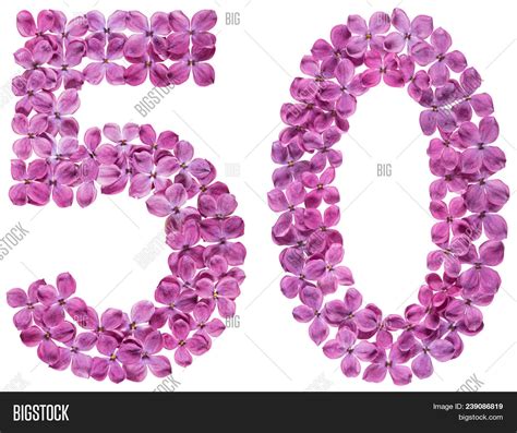 Arabic Numeral 50, Image & Photo (Free Trial) | Bigstock