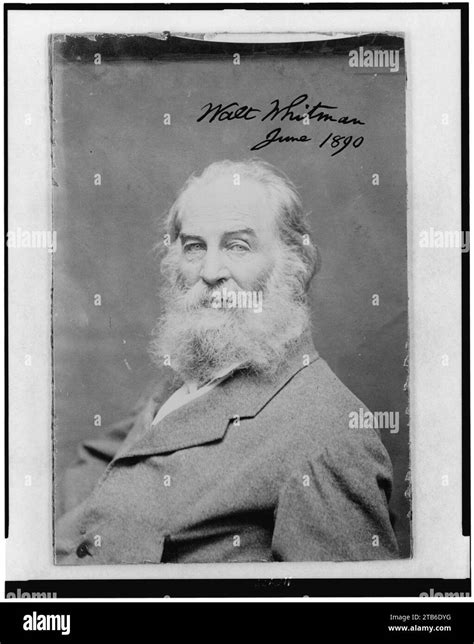 Walt Whitman As An Old Man Half Length Portrait Seated To The Left