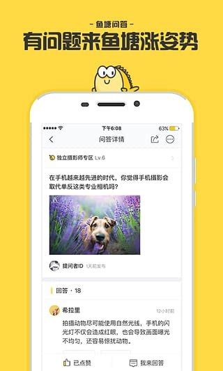 闲鱼电脑版下载暂未上线闲鱼app最新电脑版下载v4133dm手游