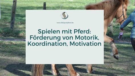 Sensomotorisches Pferdetraining Pferd