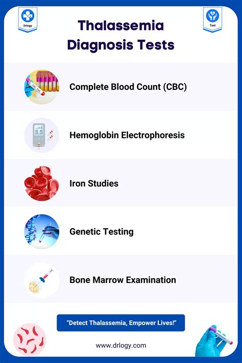 5 Important Thalassemia Diagnosis Test For Accurate Solution Drlogy