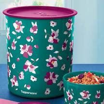 TUPPERWARE SUPER INSTANTÂNEA SLIM 4 BELEZA DA FLORA 4 2 LITROS Shopee