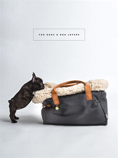 BEAUTIFUL ACCESSORIES FOR DOGS AND DOG LOVERS – 79 ideas