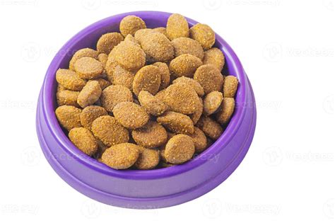 Alimento Seco Para Mascotas Alimentaci N Equilibrada Para Gatos Y