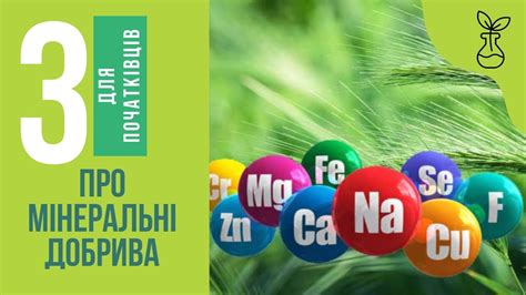 Про мінеральні добрива для початківців. Частина 3. - YouTube