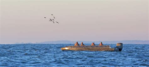 Sea Duck Hunting in Maryland on Chesapeake Bay & Eastern Shore