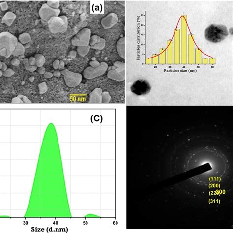 Characterization Of AgNP BJ A FESEM B TEM C DLS For Particle