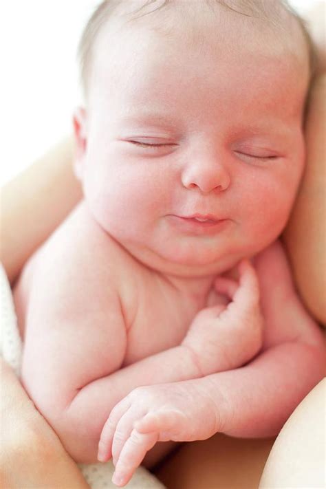 Newborn Baby 1 By Ian Hooton Science Photo Library