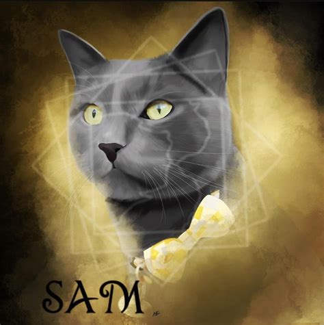 Sam The Cat Commission Rcats