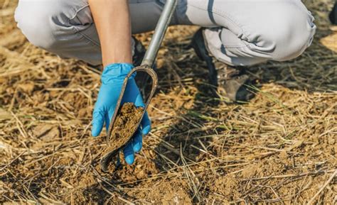 Ventajas de un muestreo de suelos en el sector agrícola