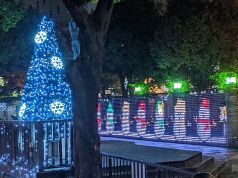 【岡山市北区】今年も西川で幻想的なイルミネーションの点灯が始まりました。夜の西川緑道公園で「星めぐりの旅」はいかが？ 号外net 岡山市