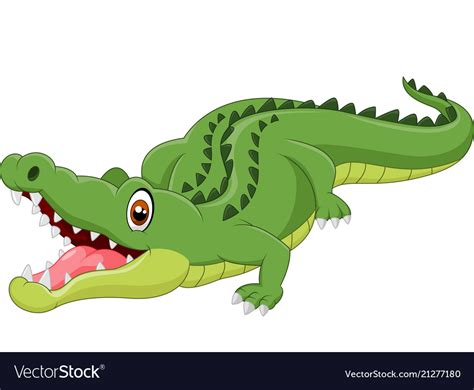 Cartoon crocodile Royalty Free Vector Image - VectorStock