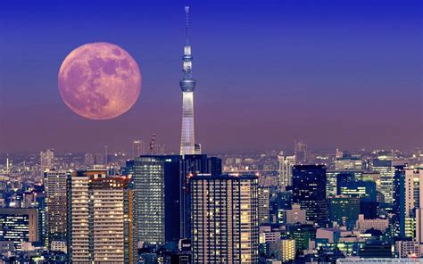 Download Full Moon Lights Up Tokyo City Sky Wallpaper | Wallpapers.com