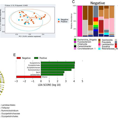 The Cervical Microbiota Of Cervical Dysplasia And Cervical Cancer