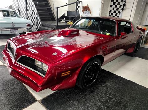 Reserve Removed 555 Powered 1981 Pontiac Firebird Trans Am Available