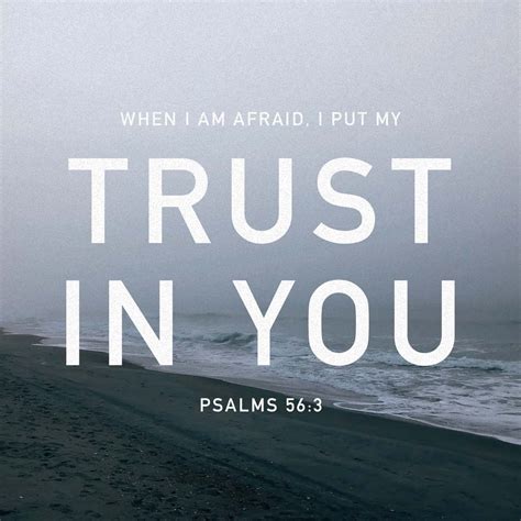 Psalms 56 3 11 What Time I Am Afraid I Will Trust In Thee In God I Will Praise His Word In