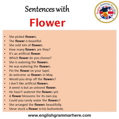 Sentences With Flower Flower In A Sentence In English Sentences For