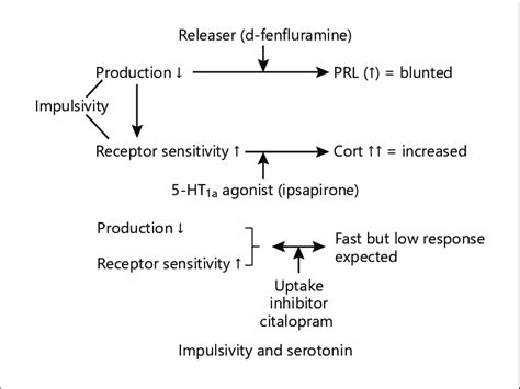 Possible Mechanisms For Explaining Responses To Serotonergic Drugs In