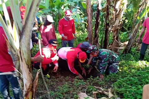 Cegah Tanah Longsor Ini Yang Ditanam TNI Denpost