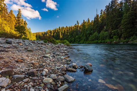 Early morning on the Smith River Jedediah Smith Redwoods State Park CA ...