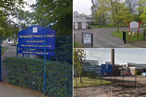 Every Essex primary school ranked from best to worst - Essex Live