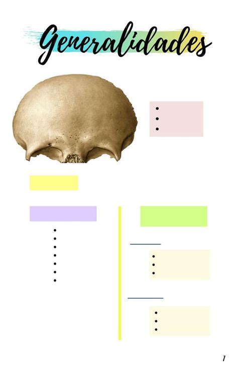 Hueso Frontal Y Parietal Hueso Anatom A Apuntes De Medicina