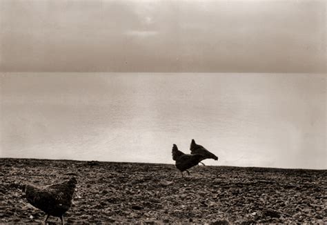 湖北の朝 [石黒清 カメラ毎日 1956年7月号より] パブリックドメインr：古写真・イラスト・絵画美術館