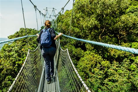 Canopy Walk In The Nyungwe Forest National Park What To Pack