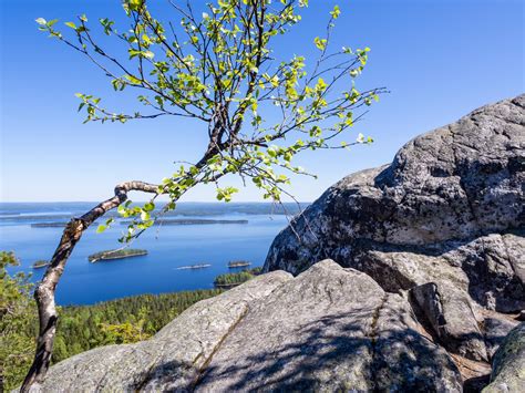 Overnight Hiking Trip to Koli National Park | Finnish Friend