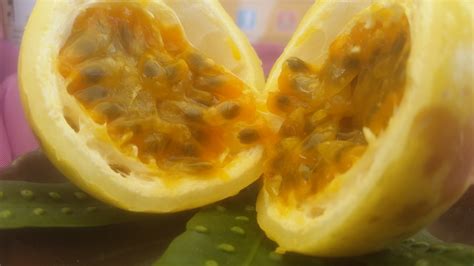 How To Juice Lilikoi The Hawaiian Passion Fruit Lilikoi Products By Da Vine Hawaii