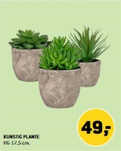 Kunstig Plante Tilbud Hos Xl Byg