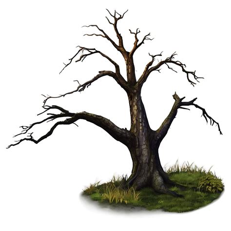 Download Dead Tree On Hill Png 05252024