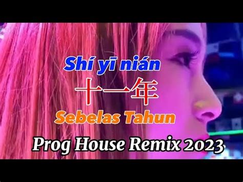 Sh Y Ni N Sebelas Tahun Proghouse Remix Youtube