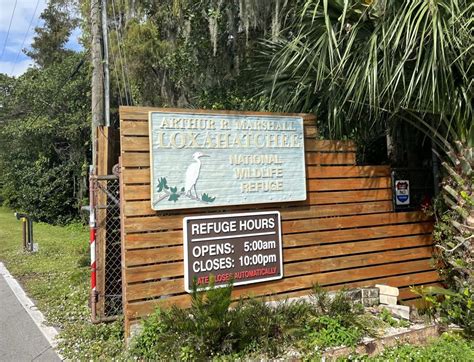 Visiting Arthur R. Marshall Loxahatchee National Wildlife Refuge